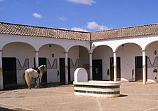Spain-Southern Spain-Dos Olivos Dressage Clinics